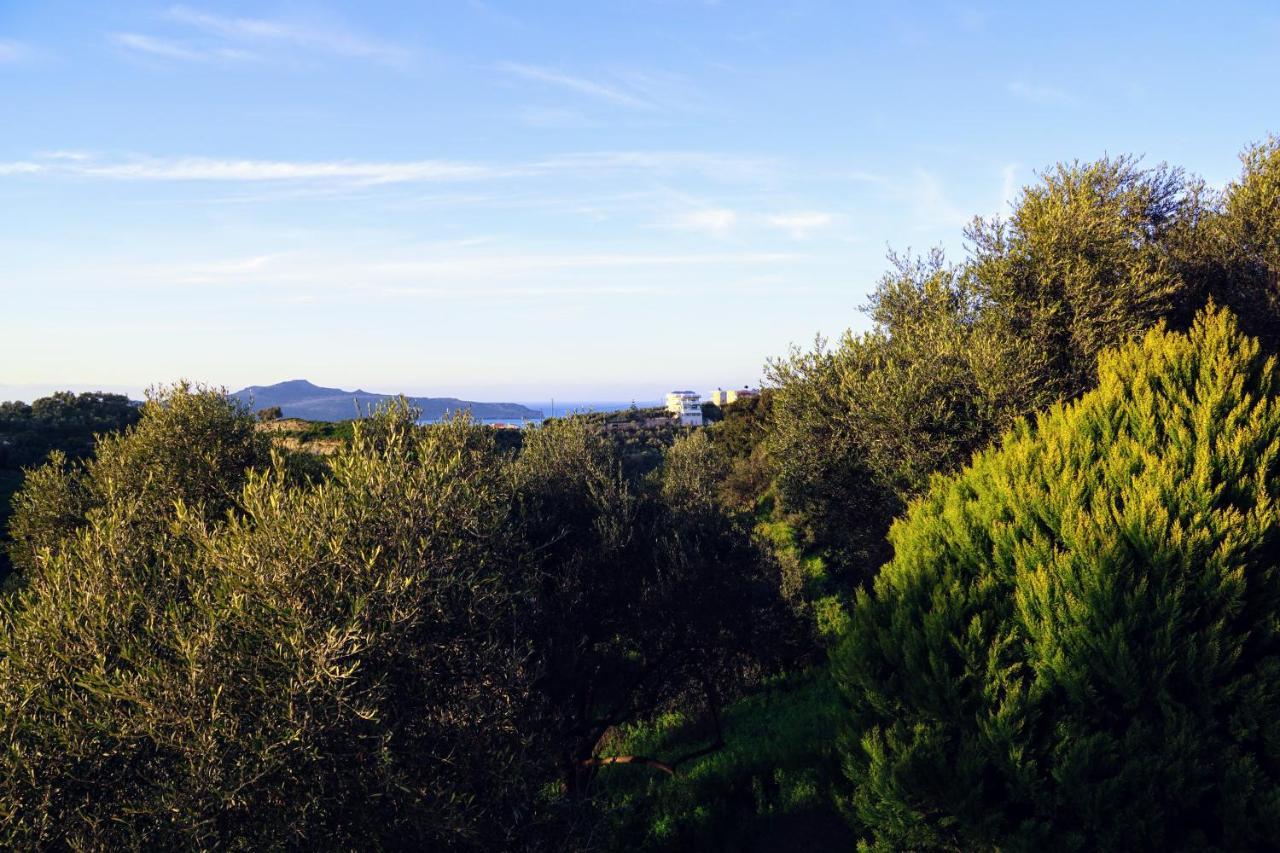 Olive Tree Hillside Apartment スタロス エクステリア 写真